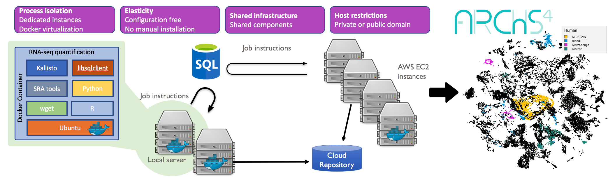 ARCHS4 structure