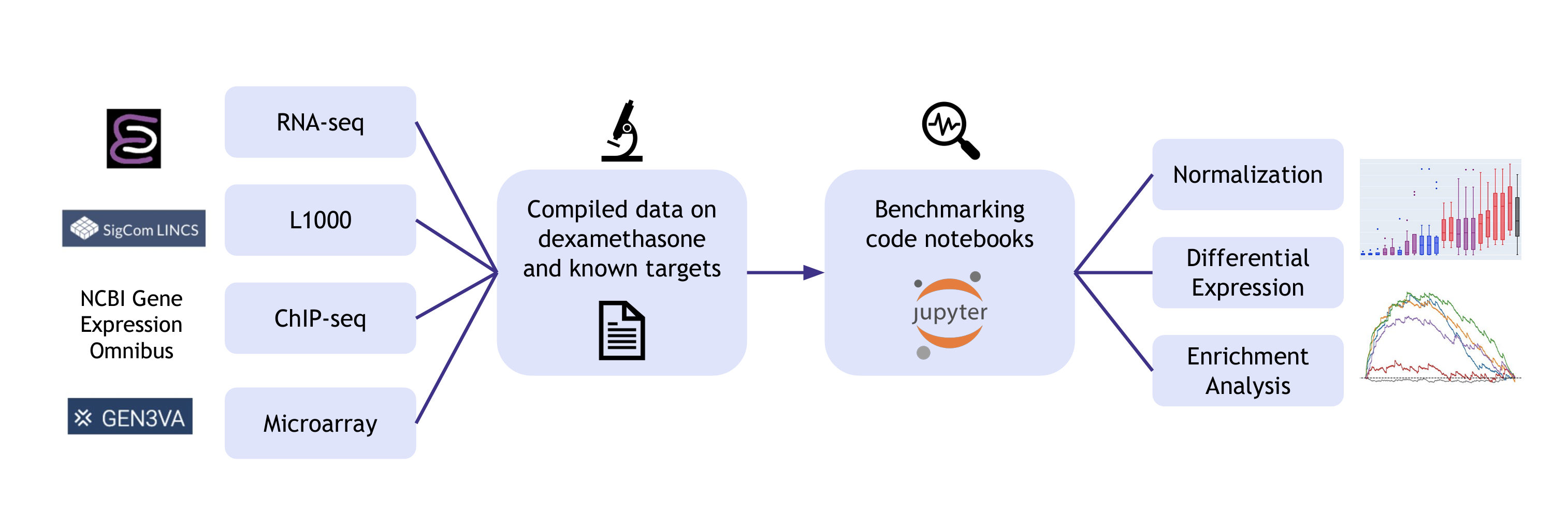 Blue Tomato · GitHub